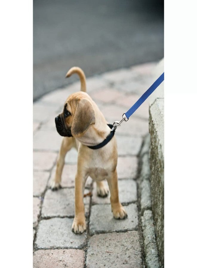 Trixie Combo of Trixie Premium Nylon Adjustable Dog Leash with Stainless Steel Hooks - L-XL (25mm, Royal Blue Color) and Sports Ball Natural Rubber Toy for Dog - Image 3